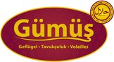 Gümüs